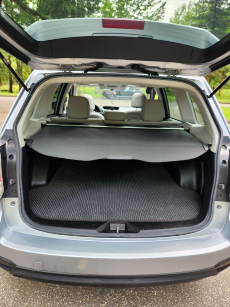 Daviti's car